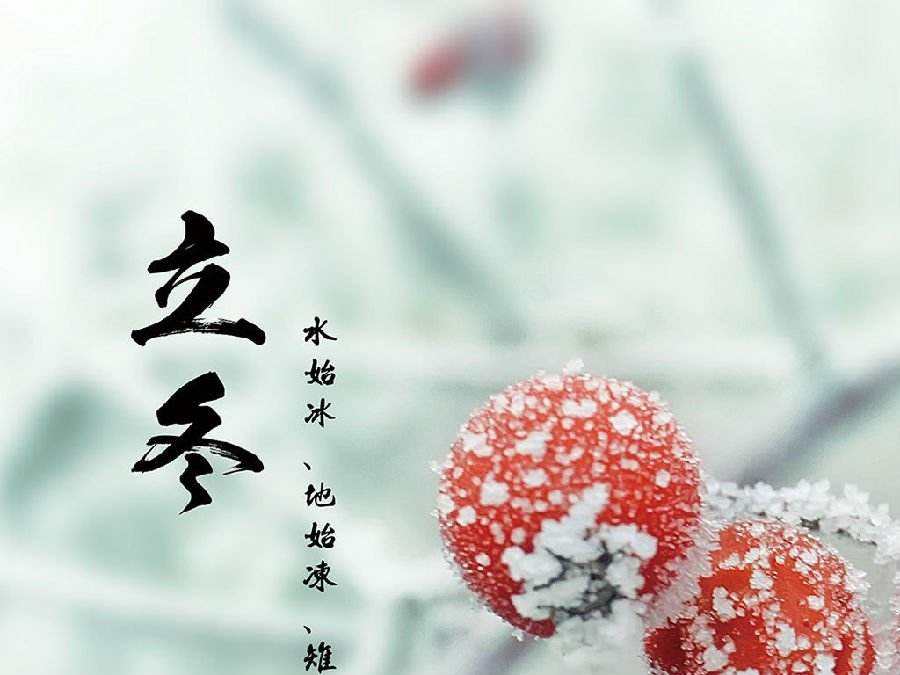 今日立冬，启睿喊你吃饺子喽